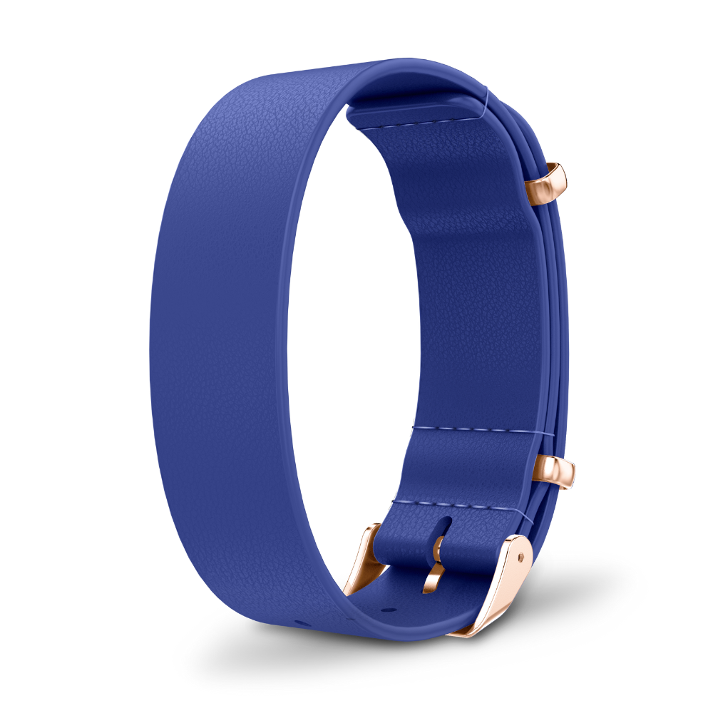 Olfinity-strap-blue-rose-gold_2.png